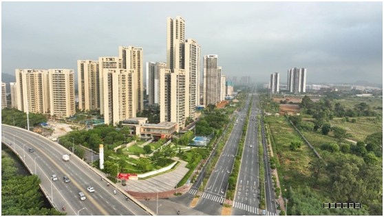 1691636263998.jpg 1691636263998.jpg